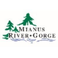 mianus river gorge