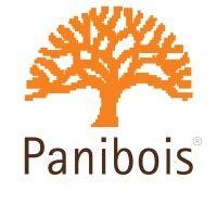 panibois logo image