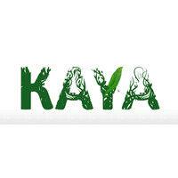 kaya logo image