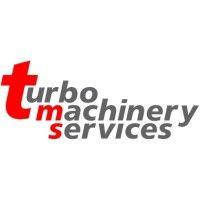 turbo-machinery services limited