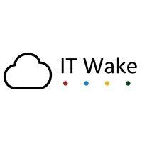 it wake logo image