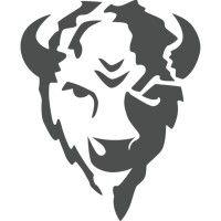 bison technologies logo image