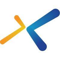 xindus logo image