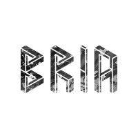 bria logo image