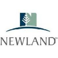 newland real estate group logo image