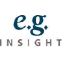 e.g. insight, inc. logo image