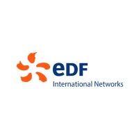 edf international networks logo image