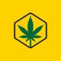 cannabis licensing authority jamaica logo image