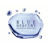 blue mercury financial services logo image