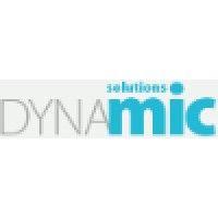 dynamicsolutions.ru logo image