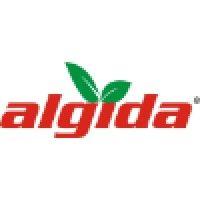 sc algida center srl logo image