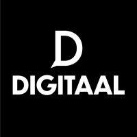 digitaal consulting logo image