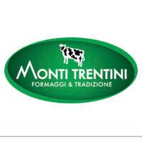 monti trentini llc