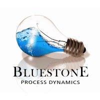 bluestone process dynamics, llc logo image