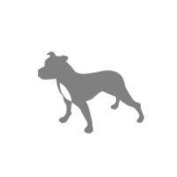 grey dog logo image