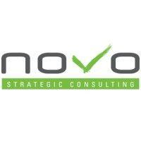 novo strategic consulting logo image