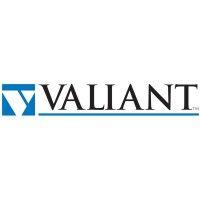 valiant products logo image