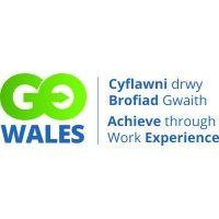 go wales logo image