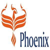 phoenix asset management partners ltd (pamp)