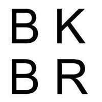 bk-br logo image