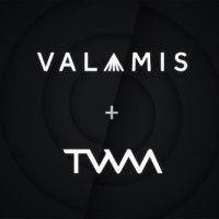 twm - the working manager (now valamis) logo image