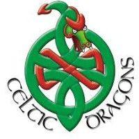 celtic dragons