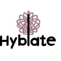 hyblate medical logo image