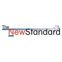 the new standard newspaper logo image