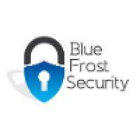 blue frost security gmbh logo image