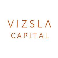 vizsla capital logo image