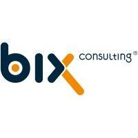 bix consulting gmbh & co. kg