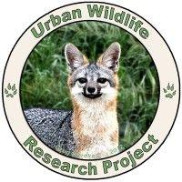 urban wildlife research project