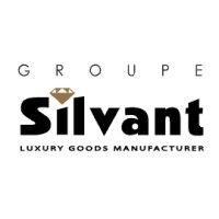 groupe silvant logo image