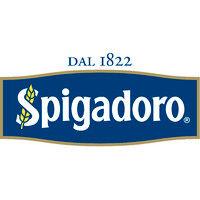 spigadoro logo image