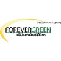 forevergreen illumination logo image