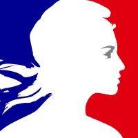 french ministry for armed forces logo image