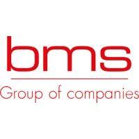 bms - bulk meter services ltd logo image