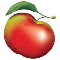 lyman orchards logo image