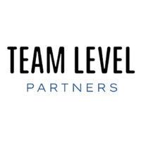 team level partners logo image