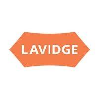 lavidge logo image