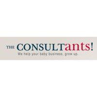 the-consultants by care direct logo image