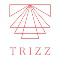 trizz studio logo image