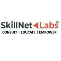 skillnet labs, llc. logo image