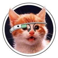 product hunt logo image