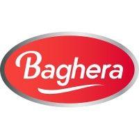 baghera logo image