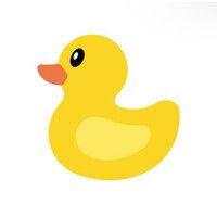 duck software logo image