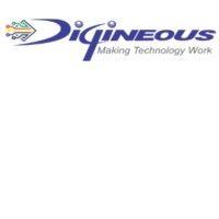 digineous technologies pvt. ltd. logo image