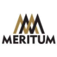 meritum consulting