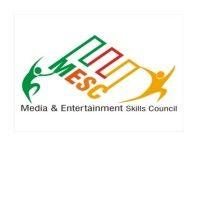 media & entertainment skills council logo image