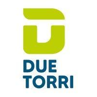 due torri spa logo image